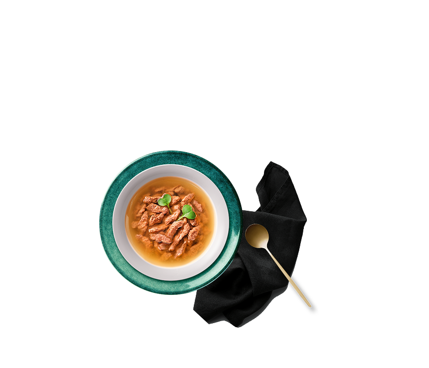 Фото блюда из коллекции